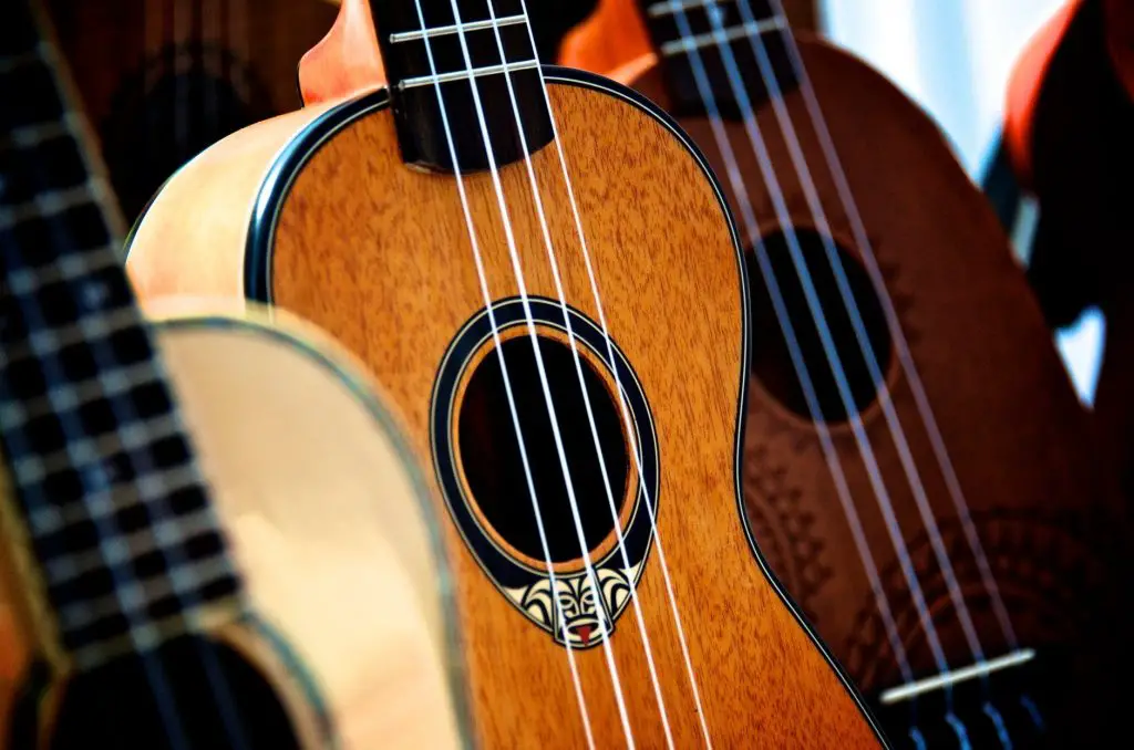 what is a good ukulele brand for beginners