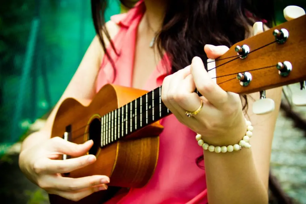 best cheap concert ukulele for beginners