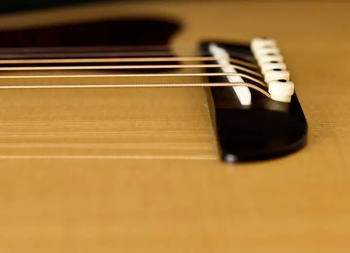 The pitch of the strings is one of the causes of buzz in the guitar