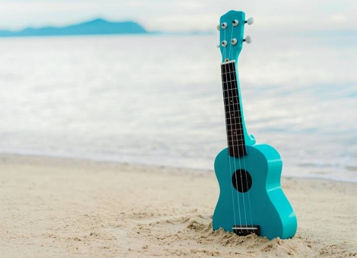 Advantages and disadvantages of a plastic ukulele