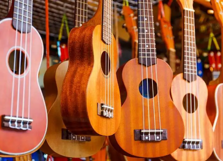 Advantages and disadvantages of a wood ukulele