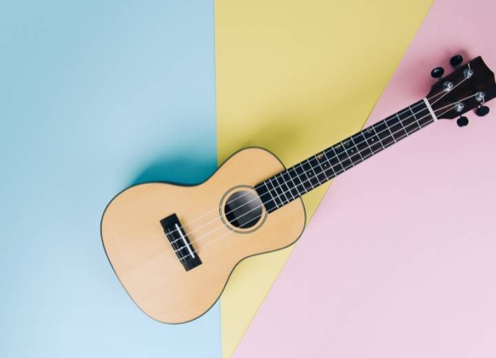 Plastic ukulele vs wood: Which one is better