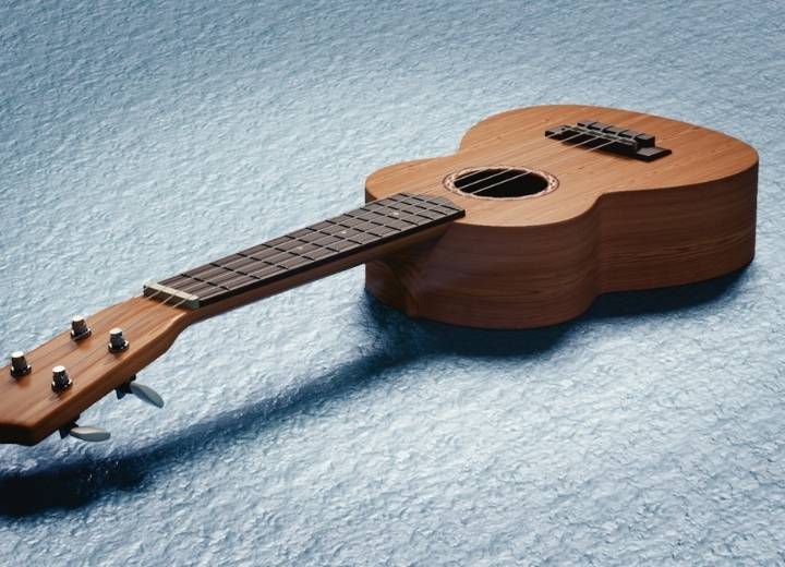 The striking differences between acacia vs mahogany ukulele