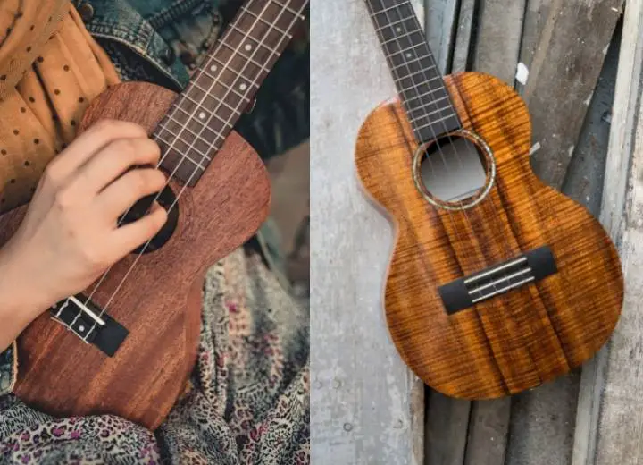 Ukulele Koa vs Mahogany - Which one is suitable for you