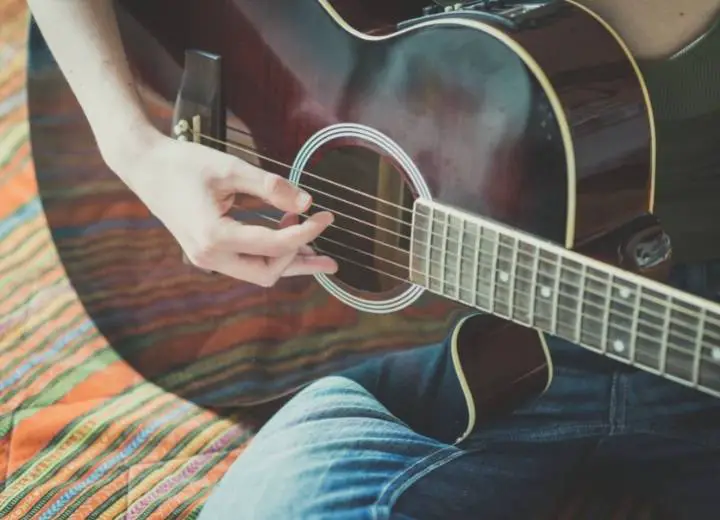 What is an acoustic and thinline acoustic guitar