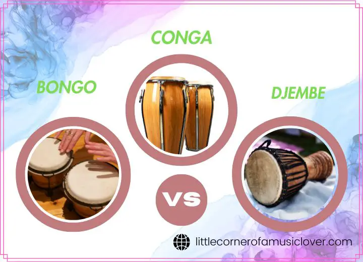 Bongo vs Conga vs Djembe What Are The Main Difference