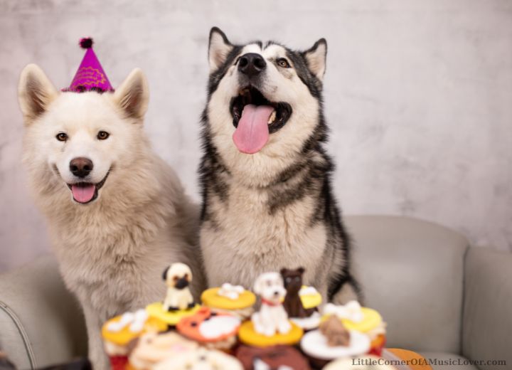 Funny Happy Birthday Songs for a Dog